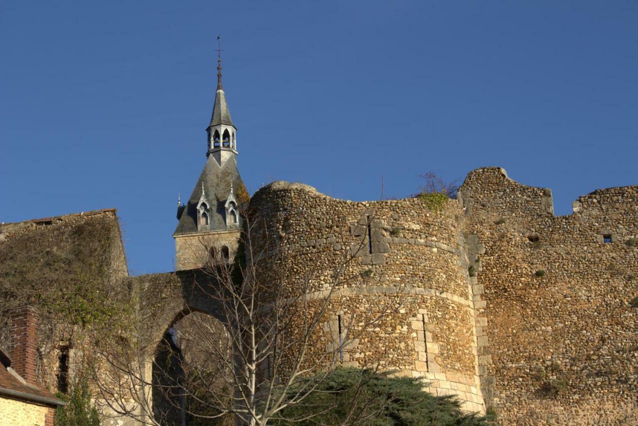 Gîte la Mésangerie Château-Renard Exterior foto